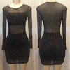 Image of Sheer Sparkle Dress (Mini Dress, runs small)